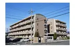 タウンアローズ30