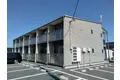 オリーブ