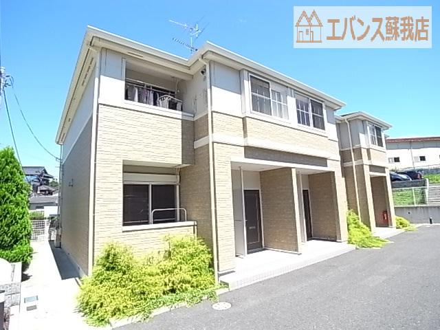 スプリングチェリーI