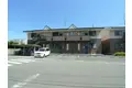 かすみそうA
