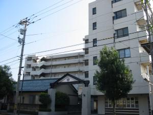 信開ウエラコート津内