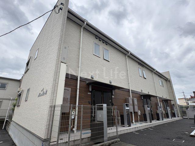 アドラーブル樹