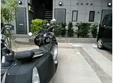 トータス・ヒル