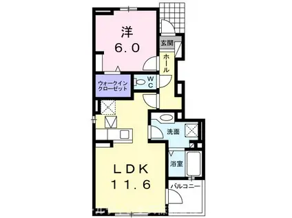 メゾンルミエール(1LDK/1階)の間取り写真