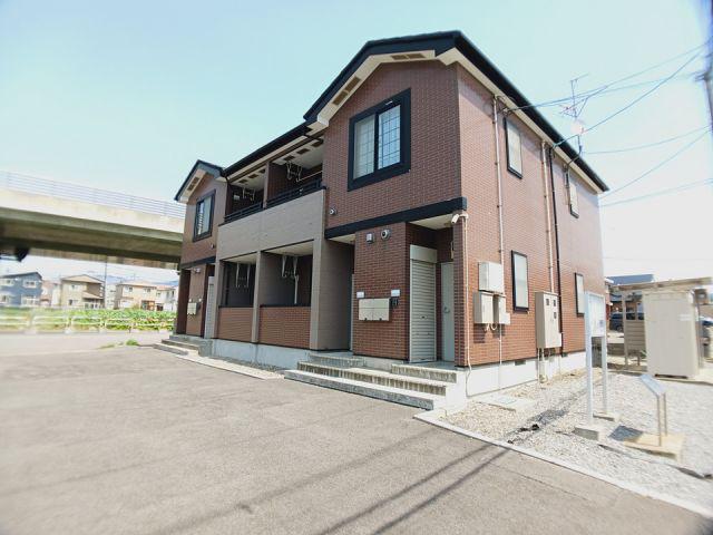 フレンシア桔梗