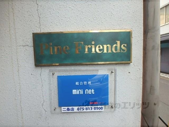 パインフレンズ