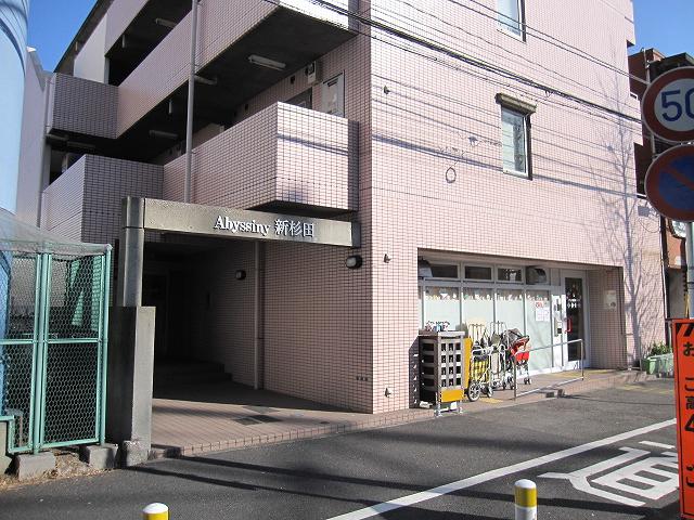 アビシニー新杉田