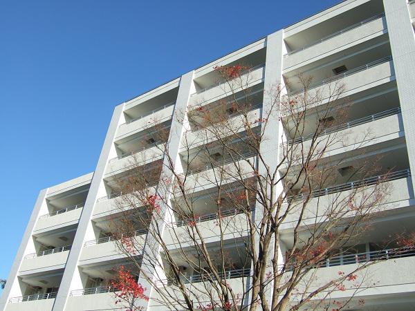グランドメゾン大倉山テラス