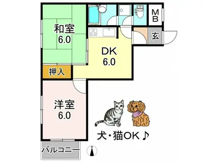 エースハイツひらの(2DK/6階)の間取り写真