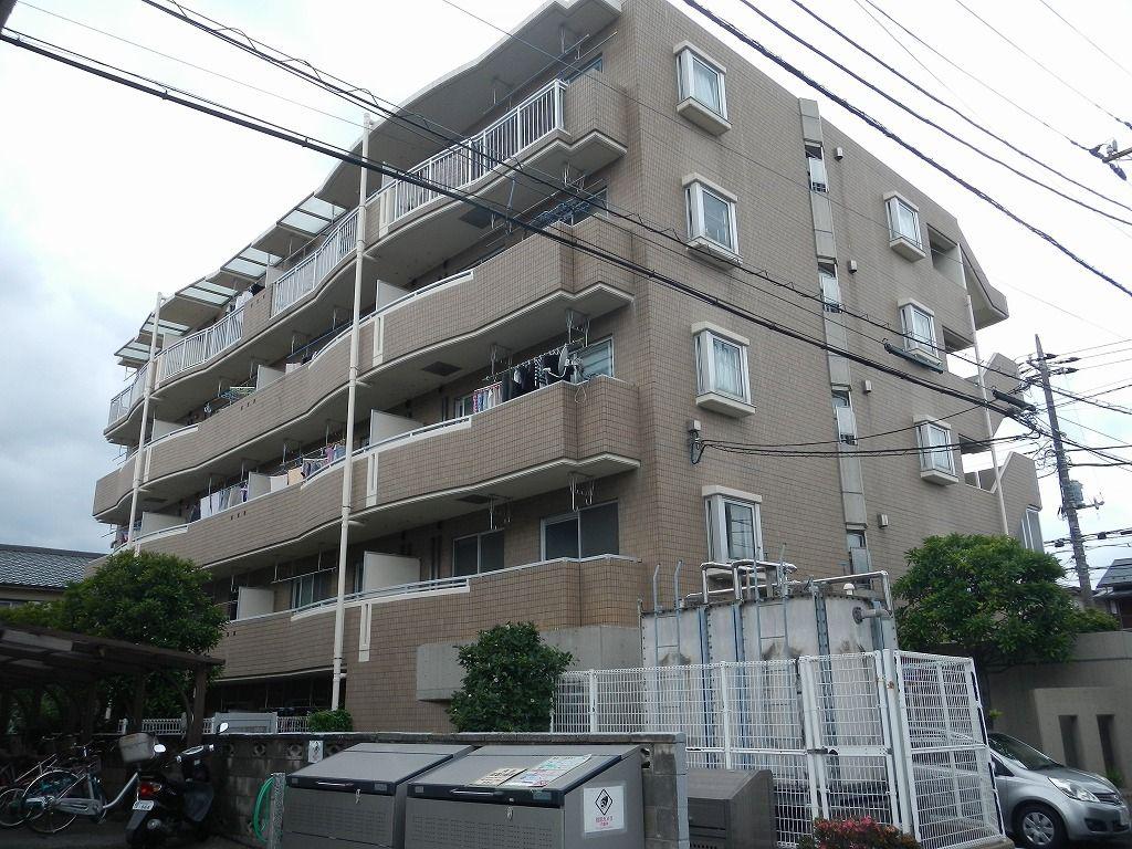 ロイヤルロッキー