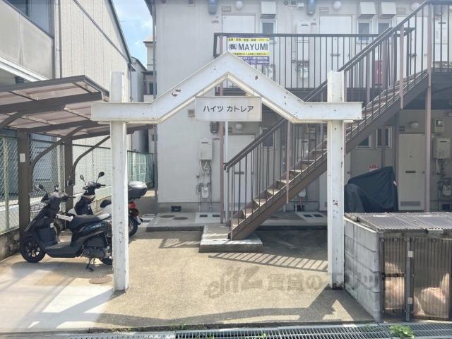 MAYUMIハイツカトレア