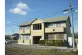 グリーンセイシェルN