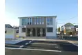 カリーノ花