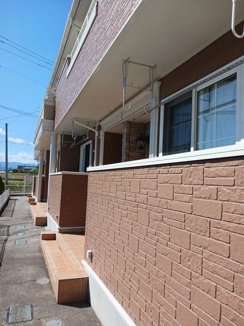 サイサリス