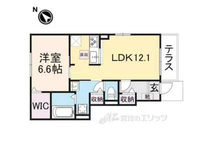 琵琶パレス1(1LDK/1階)の間取り写真