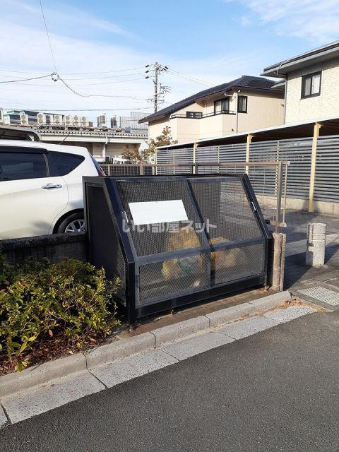 カモミール
