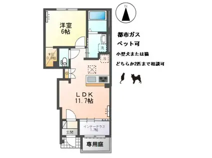 ファーストステージM(1LDK/1階)の間取り写真