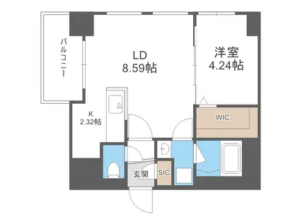 TIGER BLD 24(1LDK/5階)の間取り写真