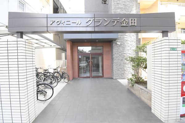 アヴィニールグランデ金田