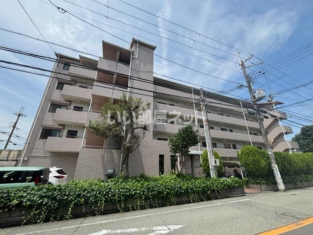 デイグラン シエル