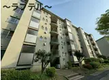 新狭山ハイツ31