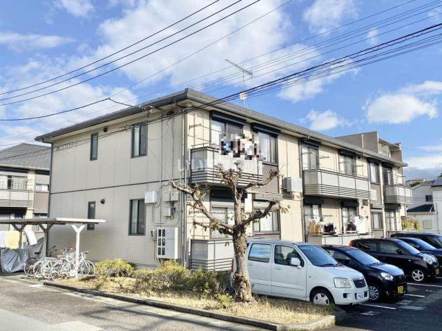 カメリアC