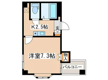 セレナ桜台マンション(1K/1階)の間取り写真