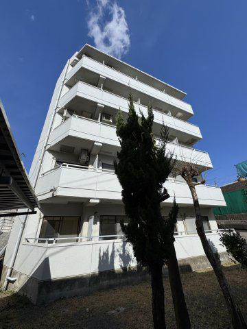 ライフイン玉川