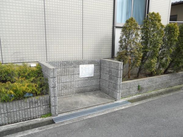 アルビノハイツ