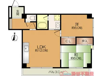 ベルシャトーTAKEHASHI(1LDK/3階)の間取り写真
