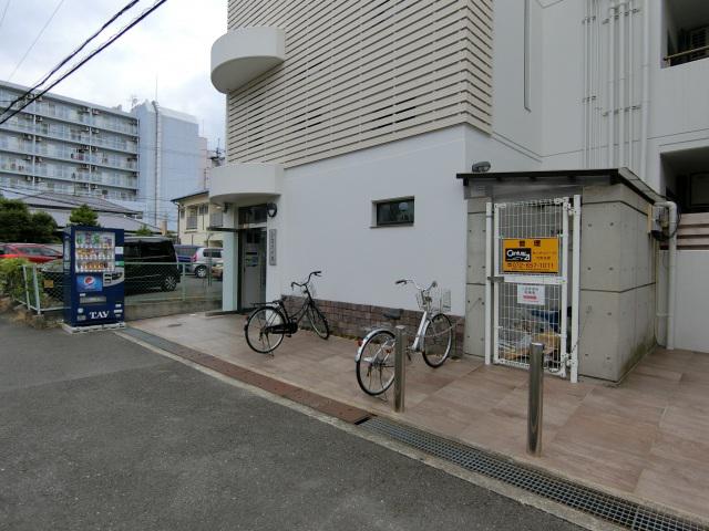 シロハイヌ