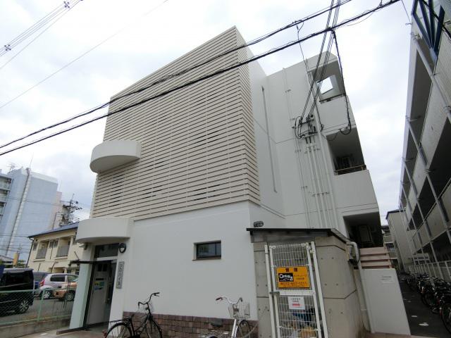 シロハイヌ