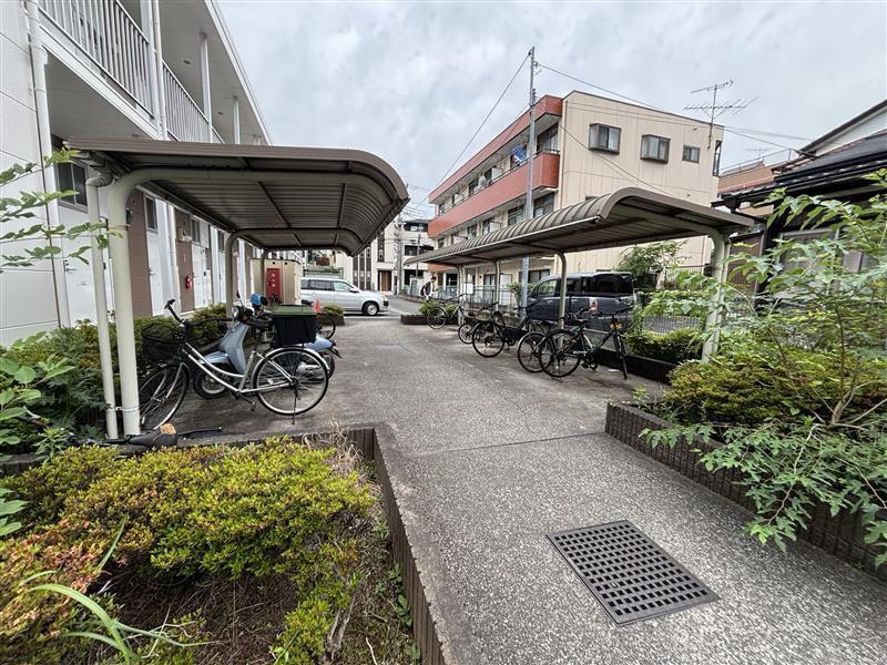 PALACE上峰