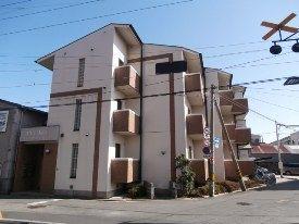 プラムユー