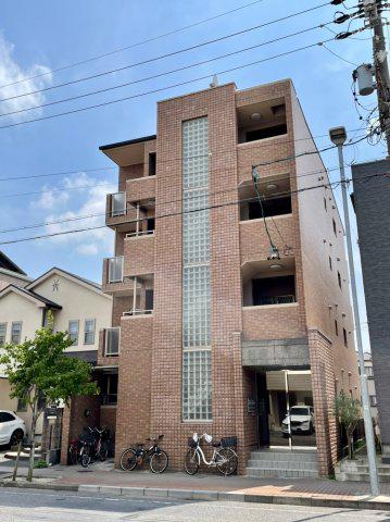 レージュ道徳