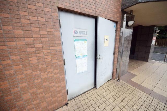 ロイヤルクマイ
