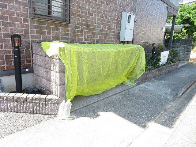 メイプルスタジオ