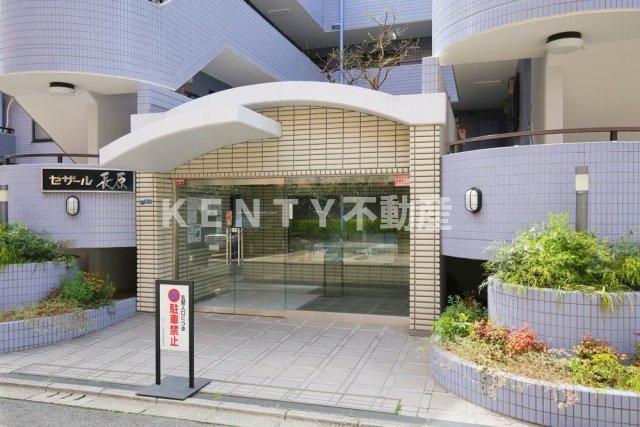 セザール長原