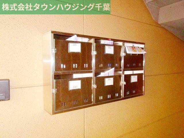 ラフィーネT・K