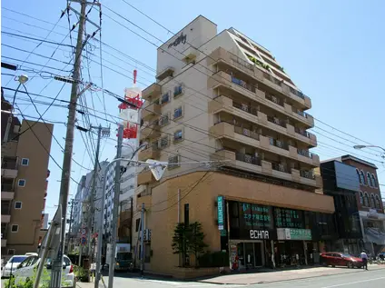 パレ日影門(2K/10階)の外観写真