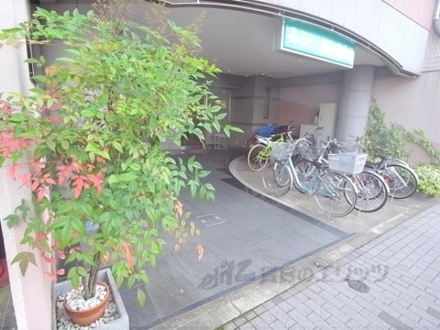 MS MIGNON下鴨