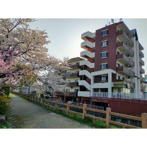 信開ドムス松川