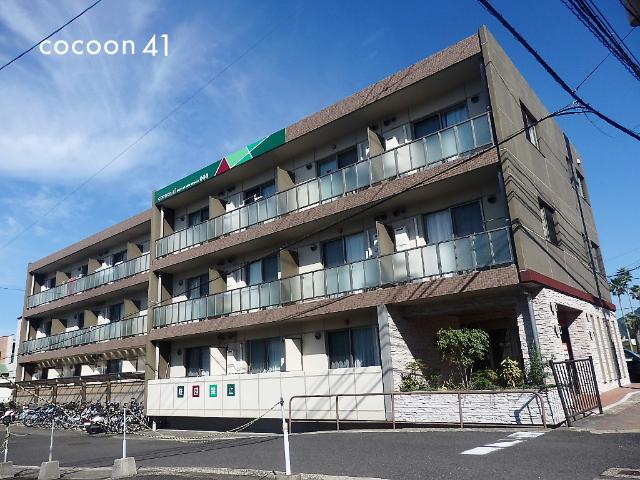 COCOON41