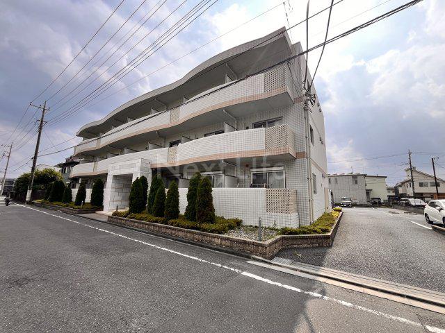 クーチャ万願寺