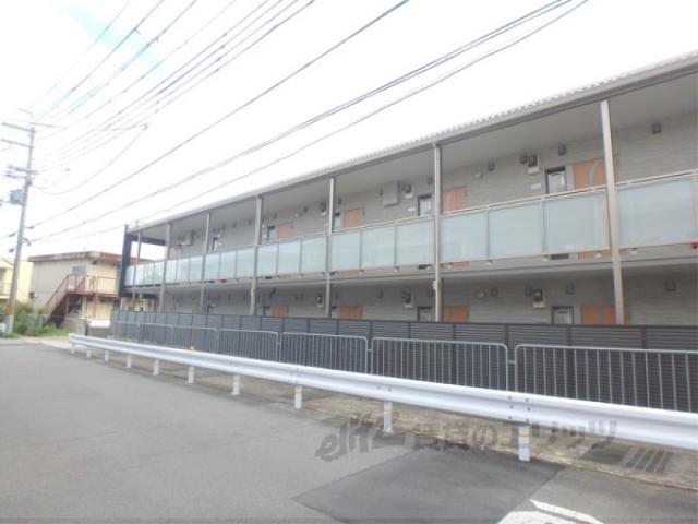 クレイノゆずりは