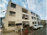 BRAMA柏