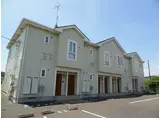 アカシアB