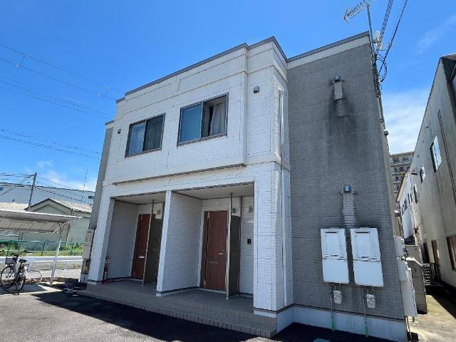 パインフィールド松