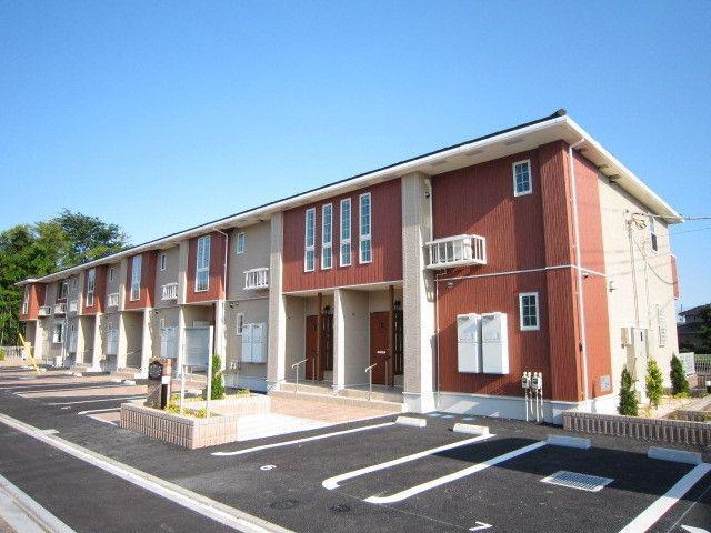 プリムラ K・M