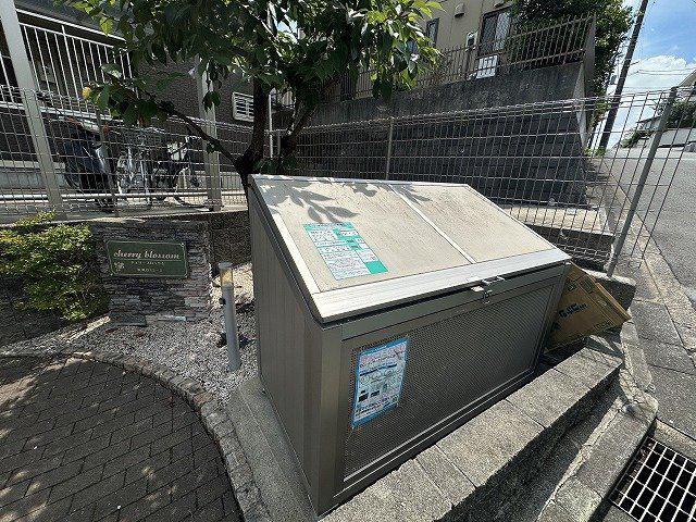 チェリーブロッサム
